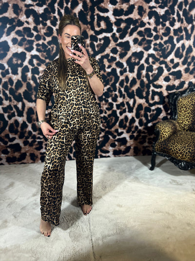 FIEN ANIMAL *COMFY PAK* (T/M 46)