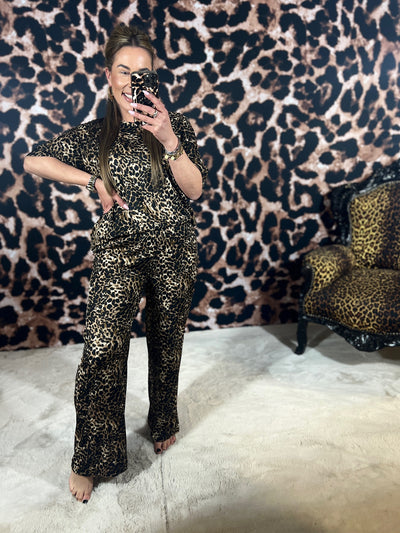 FIEN ANIMAL *COMFY PAK* (T/M 46)